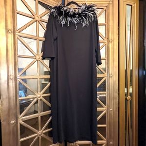Elegant Black Black Evening Dress with feather neckline